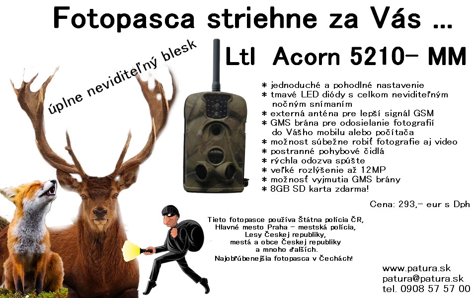 fotopasca%20acorn